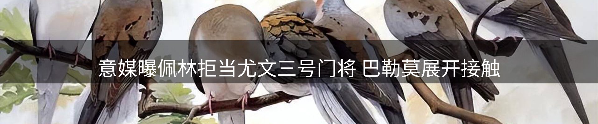 资讯报道