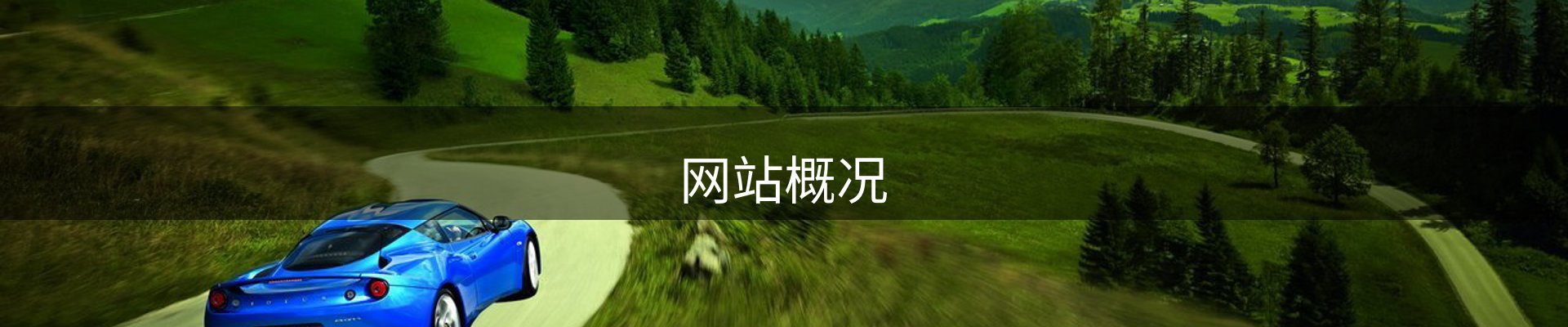 网站概况